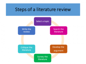 SFU Essay代写 Literature Review