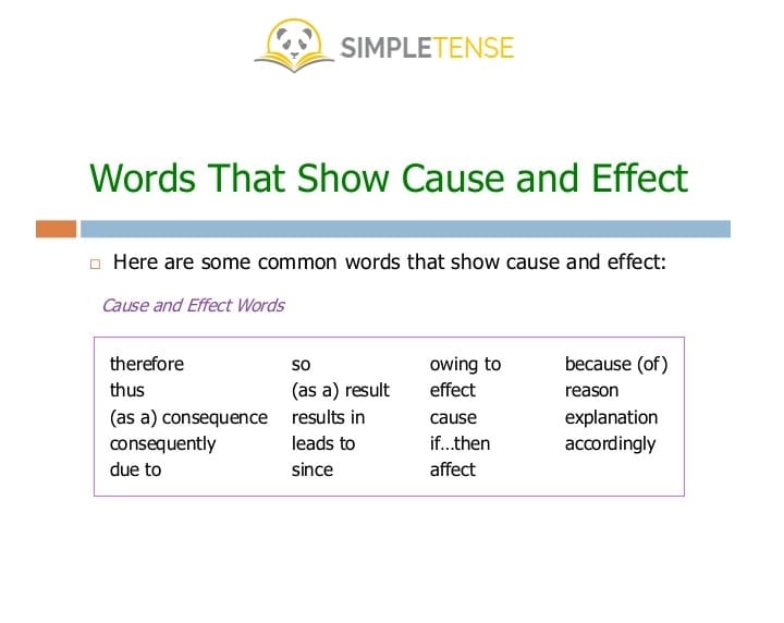 美国assignment代写 cause and effect essay 怎么写